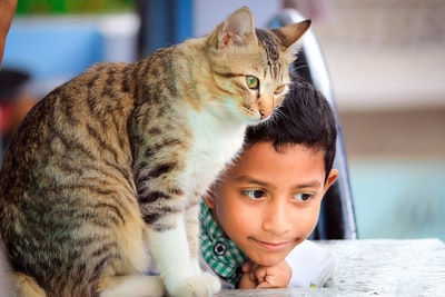 近距离摄影的男孩躺在桌子旁边的猫
